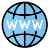 icons8-website-100